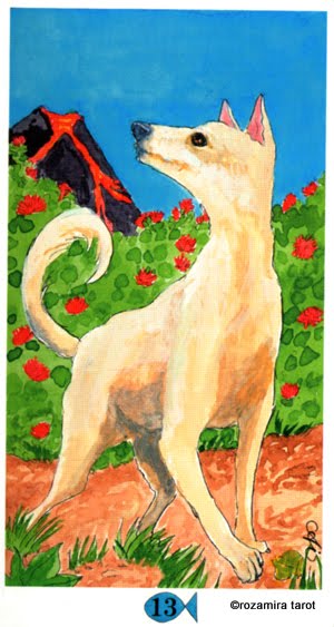 Hawaiian Aloha Tarot